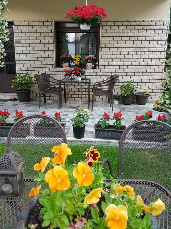Guest House Vaso Орма Экстерьер фото